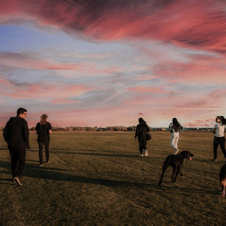 Gruppe von Personen mit Hunden unter einem bunten Himmel beim Spaziergang im Freien.